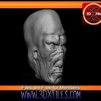 Munn Head Sculpt - Star wars custom Action Figure  - Thumbnail 2
