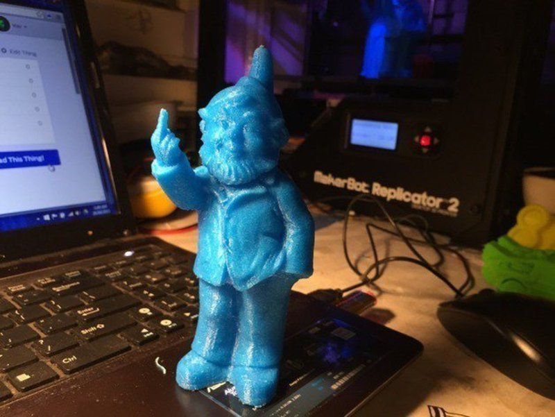 Rude gnome
