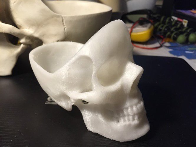 skull Ashtray 3D Print 57428