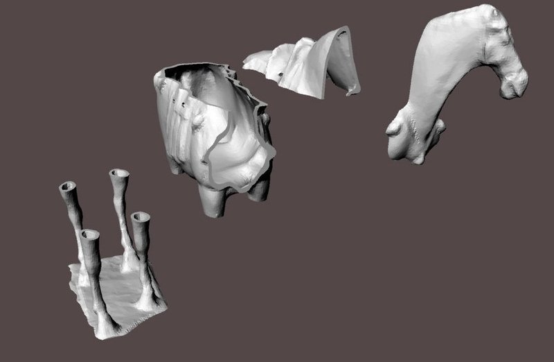 Horse Broken into 4 parts