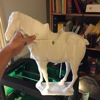 Horse Broken into 4 parts - Thumbnail 2