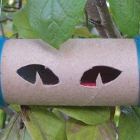 Zheng's Creepy Peepers - Thumbnail 2