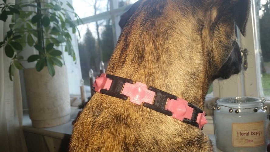 Dog collar with studs 3D Print 57695