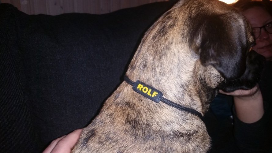 Dog Collar Name Tag 3D Print 57705