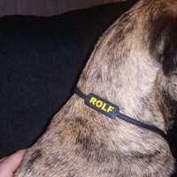 Dog Collar Name Tag - Thumbnail 2