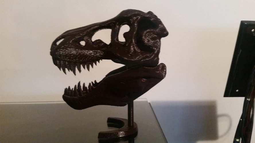 Stand For T-REX(any) 3D Print 57761