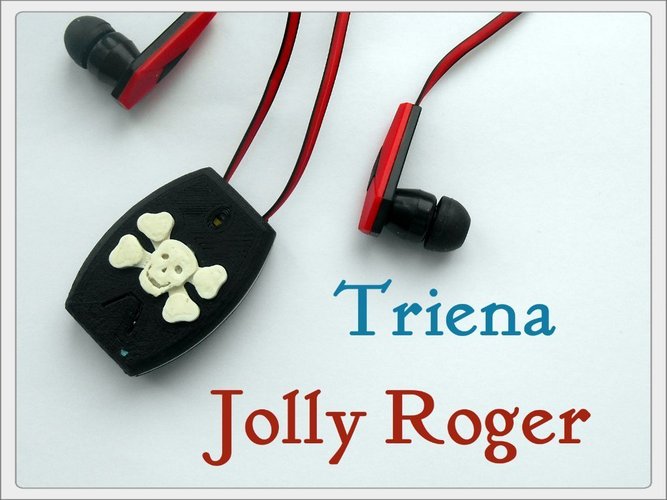 Triena Hi-Fi Bluetooth headset case 3D Print 57805