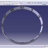 Seiko SKX007 Minutes chapter ring - Thumbnail 1