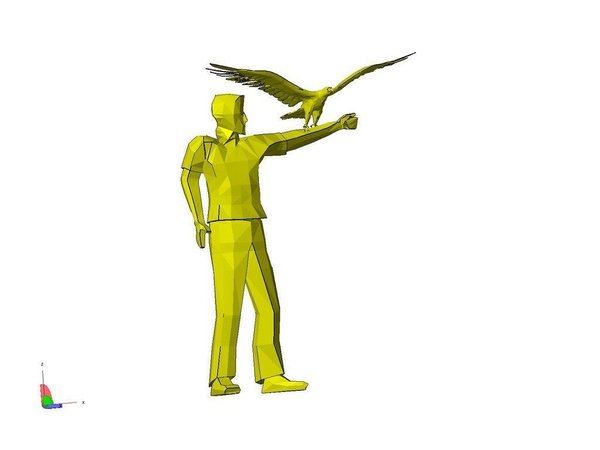 Bird