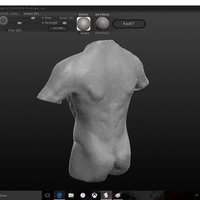 Small Male Body 3D Printing 57858