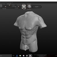 Male Body - Thumbnail 2