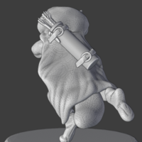 D&D Rogue Racoon - Thumbnail 1