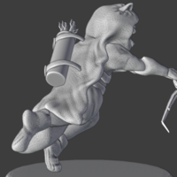 D&D Rogue Racoon - Thumbnail 2