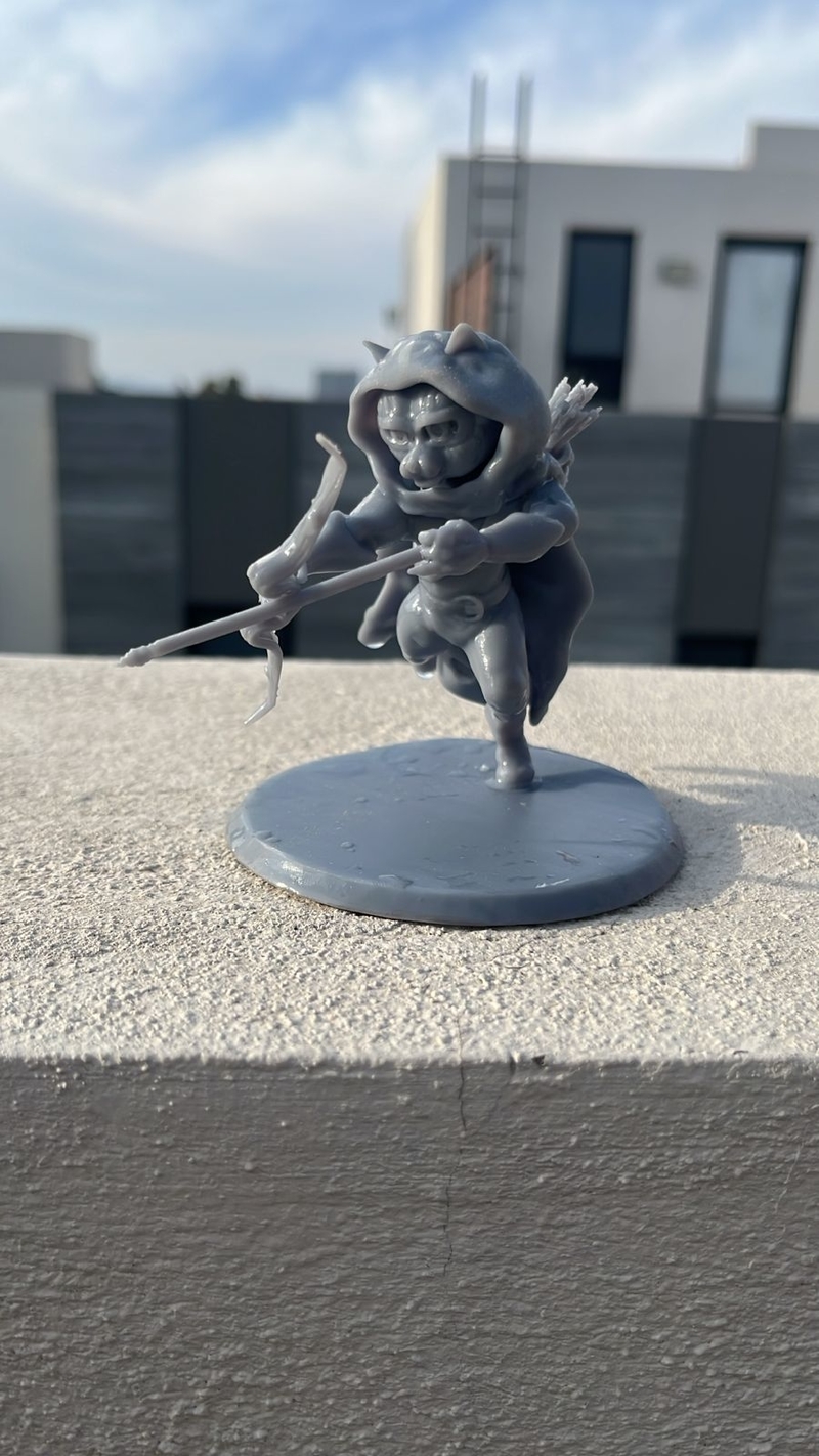 D&D Rogue Racoon