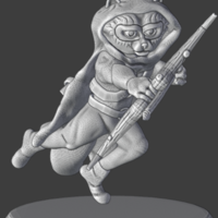 D&D Rogue Racoon - Thumbnail 4