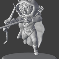 D&D Rogue Racoon - Thumbnail 5