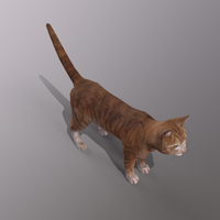 Orange Cat - Thumbnail 3