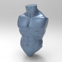 Male Torso Basemesh - Thumbnail 1