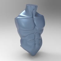 Male Torso Basemesh - Thumbnail 3