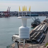 Bird Guard Crown - Thumbnail 2