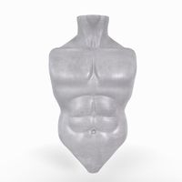 Male Torso Basemesh - Thumbnail 1
