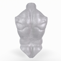 Male Torso Basemesh - Thumbnail 3
