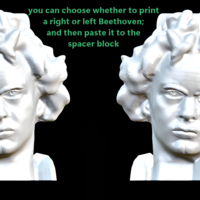 Beethoven Book Nook. Beethoven Head. - Thumbnail 2
