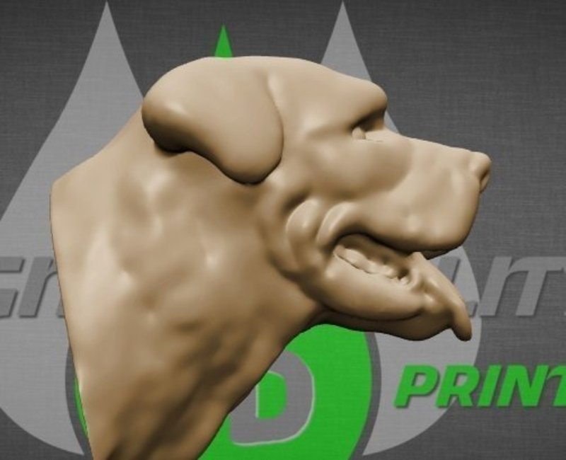 Rottweiler dog head