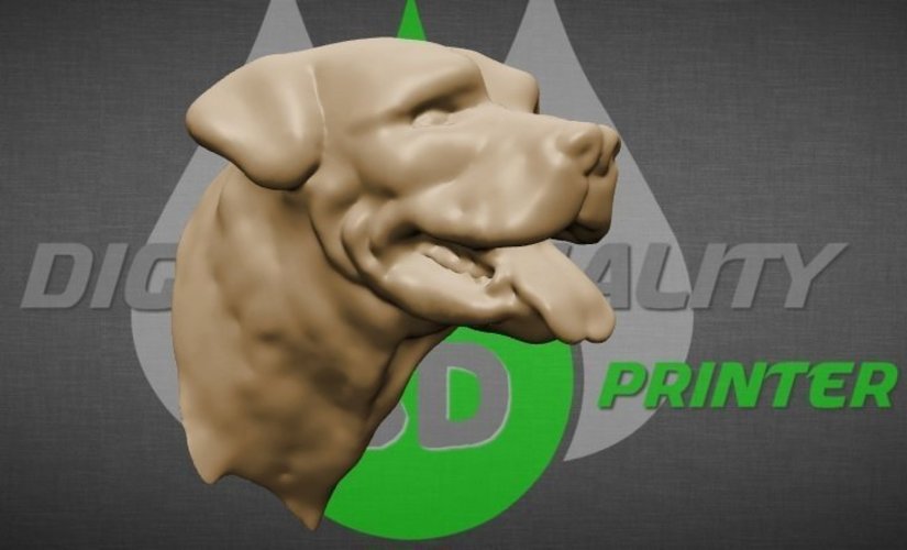 Rottweiler dog head 3D Print 58383