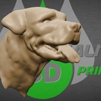 Rottweiler dog head - Thumbnail 2