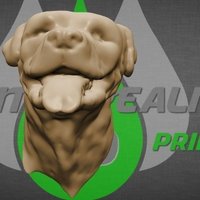 Rottweiler dog head - Thumbnail 3