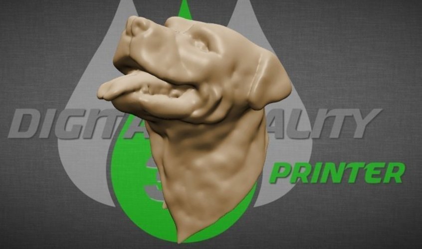 Rottweiler dog head 3D Print 58385
