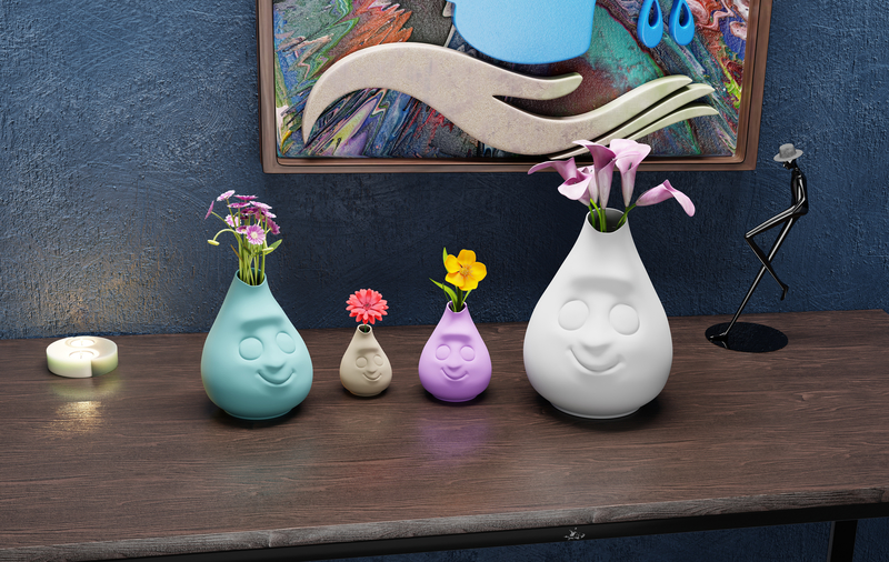 VaseWithFace! #1 Vase with a face!