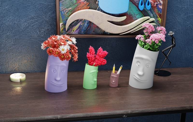 VaseWithFace! #2 Vase with a face!