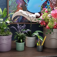 VaseWithFace! #4 Vase with a face! - Thumbnail 1