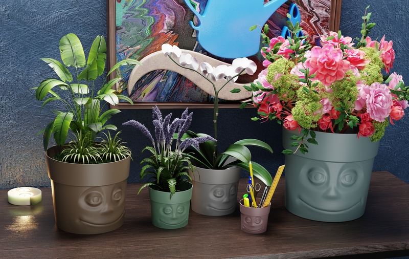 VaseWithFace! #5 Vase with a face!