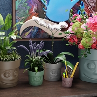 VaseWithFace! #5 Vase with a face! - Thumbnail 1