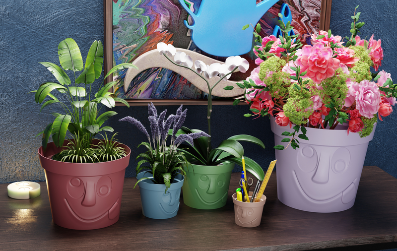 VaseWithFace! #6 Vase with a face!