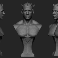 Darth Maul Bust Original Look  - Thumbnail 6