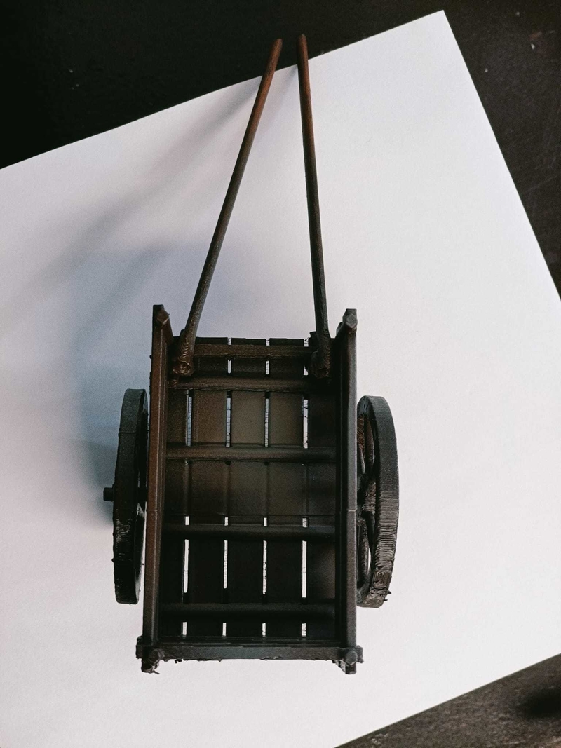 CARO DE VARAS (CAMPESINO)