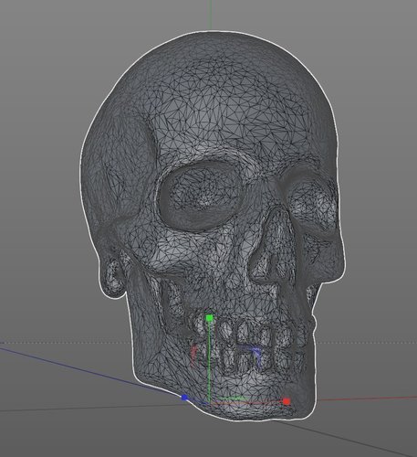Another Skull 3D Print 58976