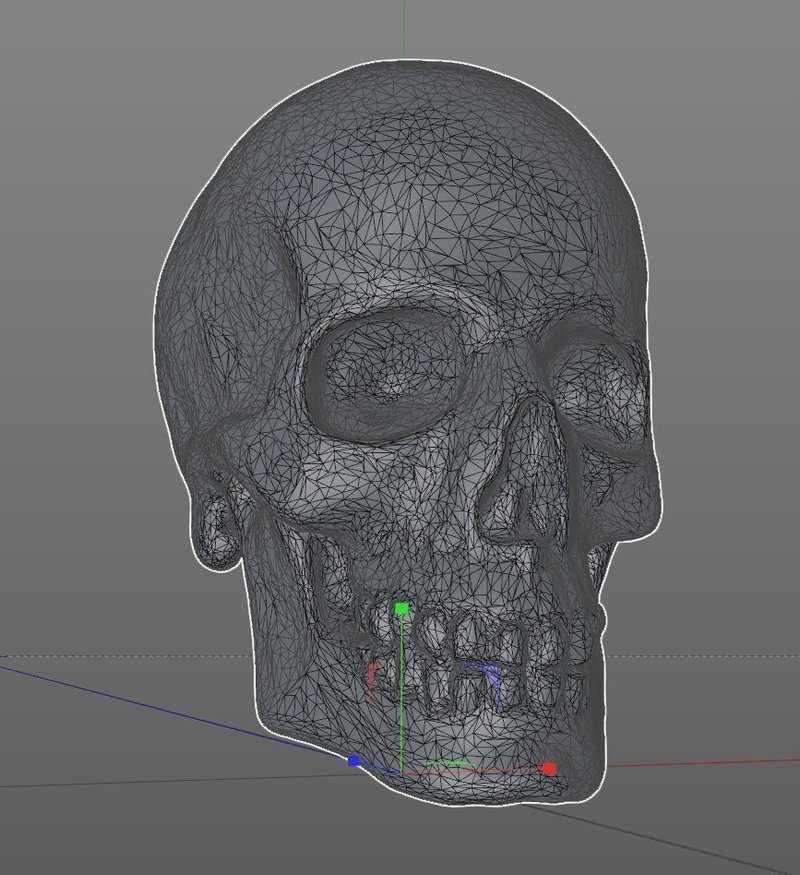 Another Skull