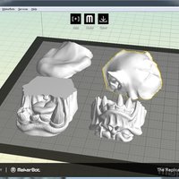 WarHammer Character Grimgor IronHide - Head only - Thumbnail 1