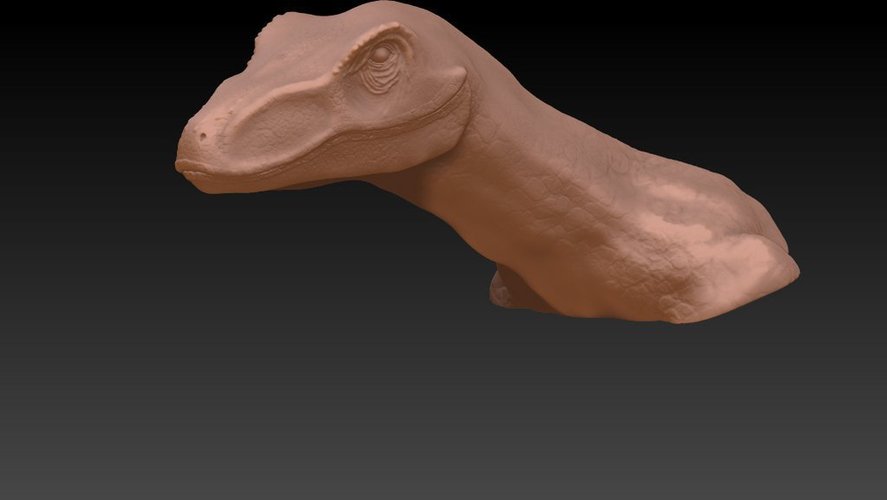 Velociraptor Head 3D Print 59317