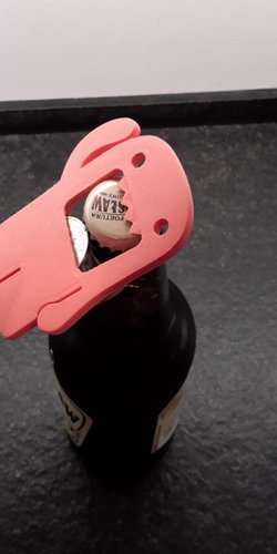 Bottle opener - Domo 3D Print 59661