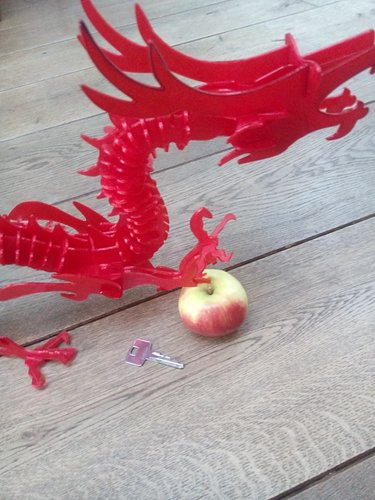 3D Printable Dragon Puzzle 3D Print 59758