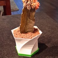 Vase: Flower pot + plate pot - Thumbnail 3