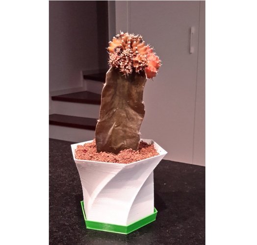 Vase: Flower pot + plate pot 3D Print 59875