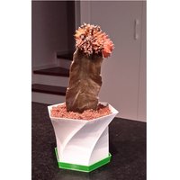 Vase: Flower pot + plate pot - Thumbnail 4