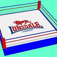 Small boxing-ring 3D Printing 60080